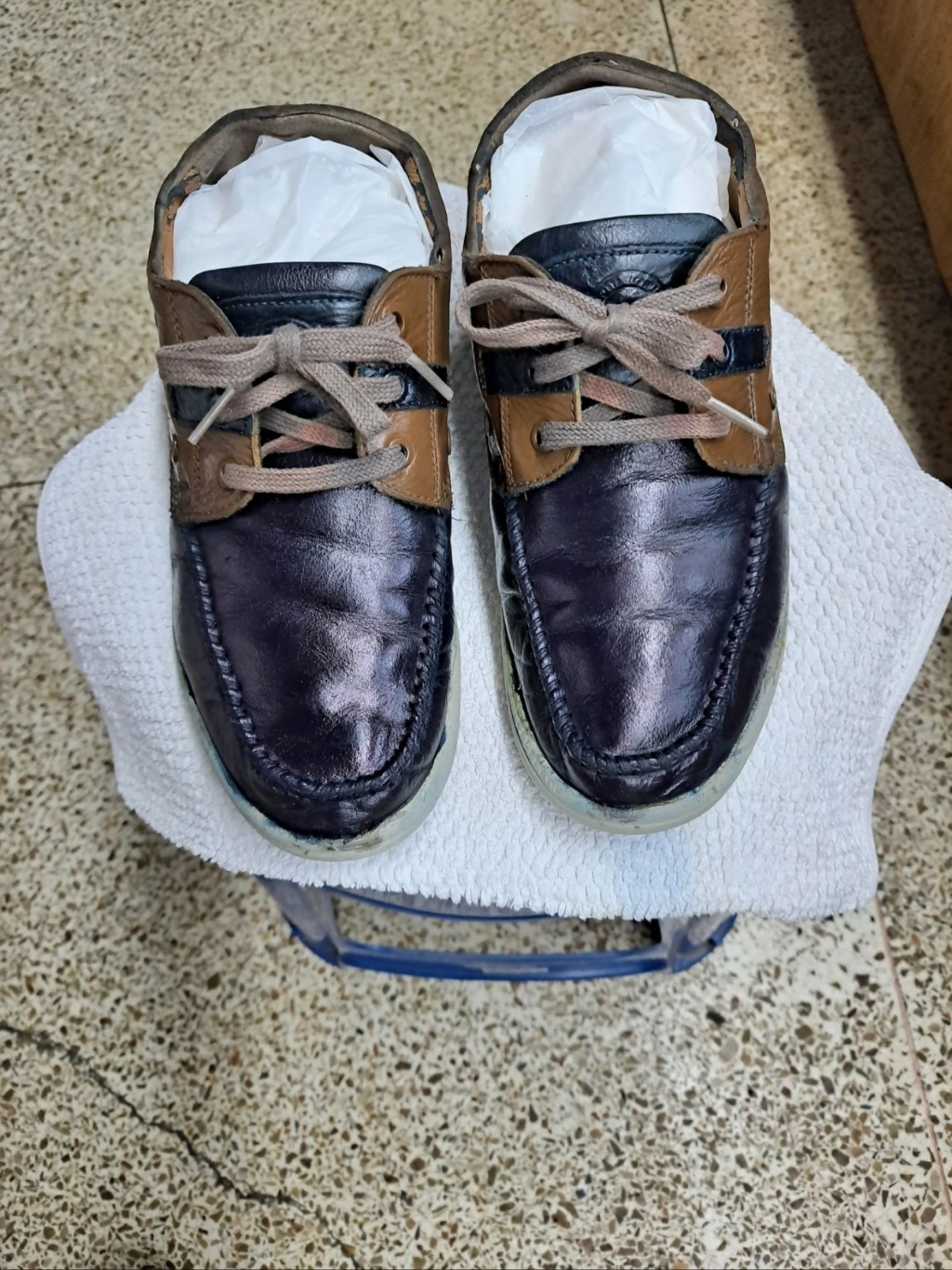 3555385892_oL0J5lhu_be6fa2beb6ffb2bfa77490504d4090c49f4620f3.jpg 이미지크게보기